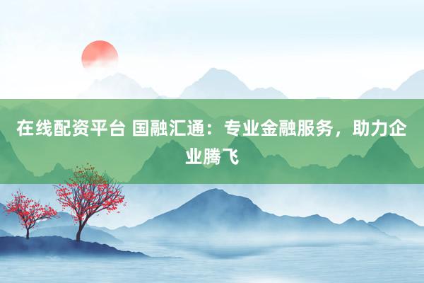 在线配资平台 国融汇通：专业金融服务，助力企业腾飞