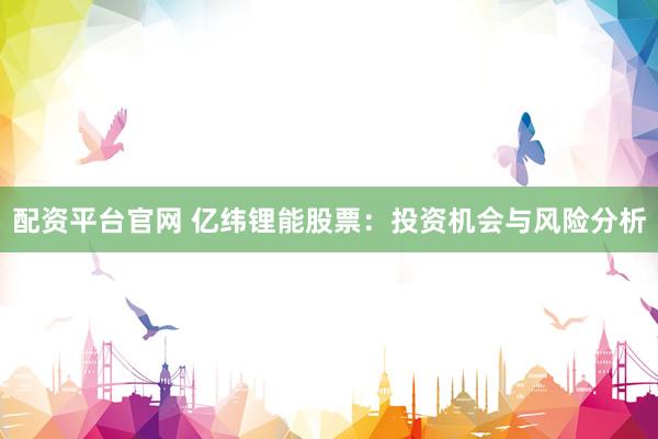 配资平台官网 亿纬锂能股票：投资机会与风险分析