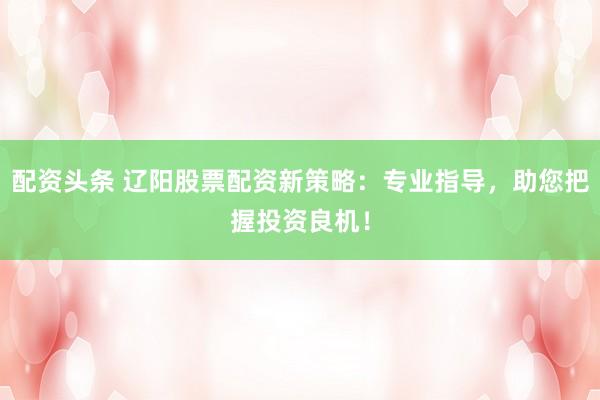 配资头条 辽阳股票配资新策略：专业指导，助您把握投资良机！