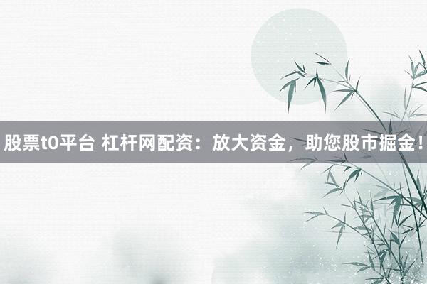 股票t0平台 杠杆网配资：放大资金，助您股市掘金！