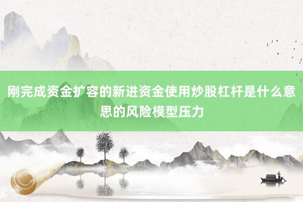 刚完成资金扩容的新进资金使用炒股杠杆是什么意思的风险模型压力